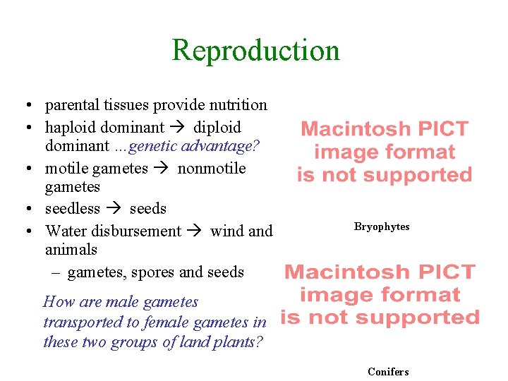 Reproduction • parental tissues provide nutrition • haploid dominant diploid dominant …genetic advantage? •