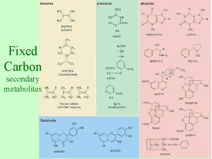 Fixed Carbon secondary metabolites 