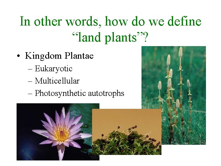 In other words, how do we define “land plants”? • Kingdom Plantae – Eukaryotic