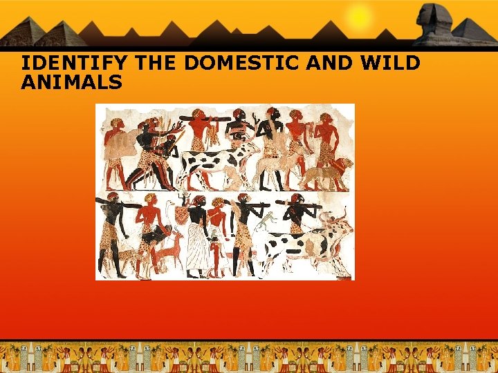 IDENTIFY THE DOMESTIC AND WILD ANIMALS 