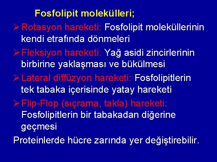 Fosfolipit molekülleri; Ø Rotasyon hareketi: Fosfolipit moleküllerinin kendi etrafında dönmeleri Ø Fleksiyon hareketi: Yağ