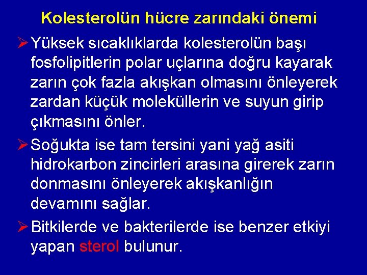 Kolesterolün hücre zarındaki önemi Ø Yüksek sıcaklıklarda kolesterolün başı fosfolipitlerin polar uçlarına doğru kayarak