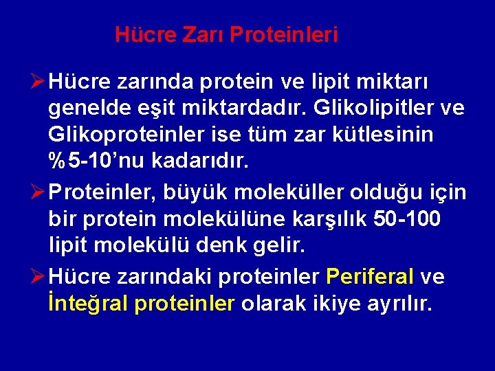 Hücre Zarı Proteinleri Ø Hücre zarında protein ve lipit miktarı genelde eşit miktardadır. Glikolipitler