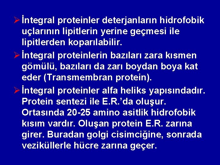 Ø İntegral proteinler deterjanların hidrofobik uçlarının lipitlerin yerine geçmesi ile lipitlerden koparılabilir. Ø İntegral