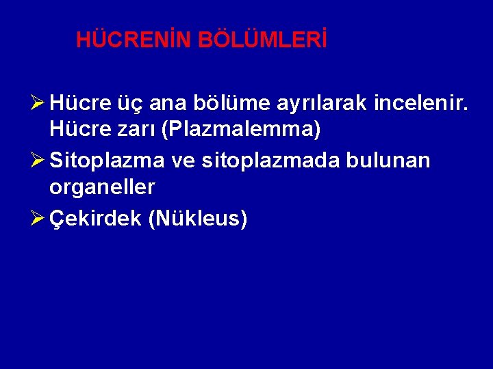 HÜCRENİN BÖLÜMLERİ Ø Hücre üç ana bölüme ayrılarak incelenir. Hücre zarı (Plazmalemma) Ø Sitoplazma