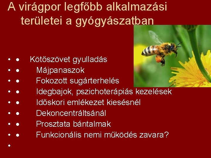 A virágpor legfőbb alkalmazási területei a gyógyászatban • • • · · · ·