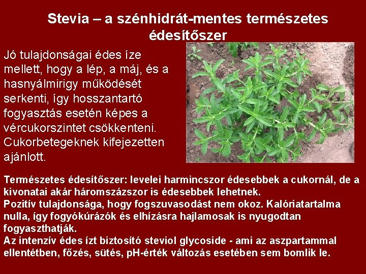 Stevia – a szénhidrát-mentes természetes édesítőszer Jó tulajdonságai édes íze mellett, hogy a lép,