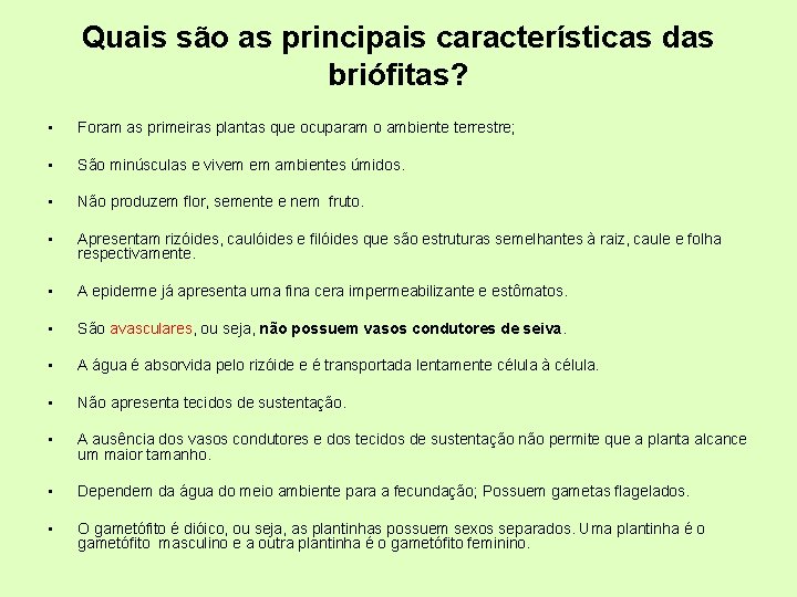 Quais são as principais características das briófitas? • Foram as primeiras plantas que ocuparam