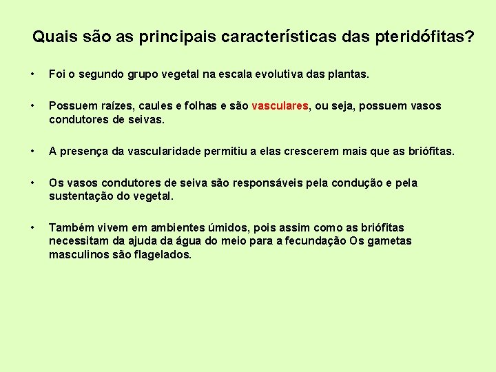 Quais são as principais características das pteridófitas? • Foi o segundo grupo vegetal na