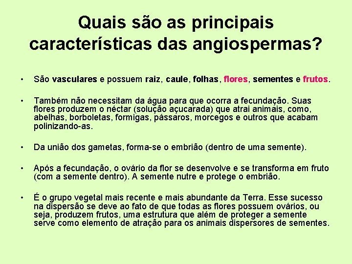 Quais são as principais características das angiospermas? • São vasculares e possuem raiz, caule,