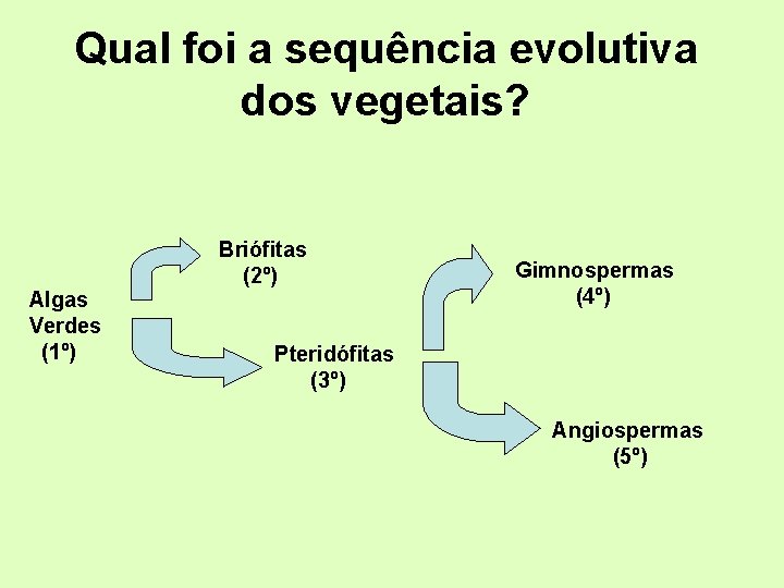 Qual foi a sequência evolutiva dos vegetais? Algas Verdes (1º) Briófitas (2º) Gimnospermas (4º)