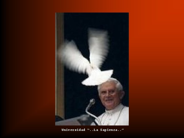Universidad “. . La Sapienza. . ” 