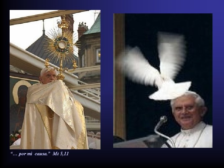 “… por mi causa. ” Mt 5, 11 . 