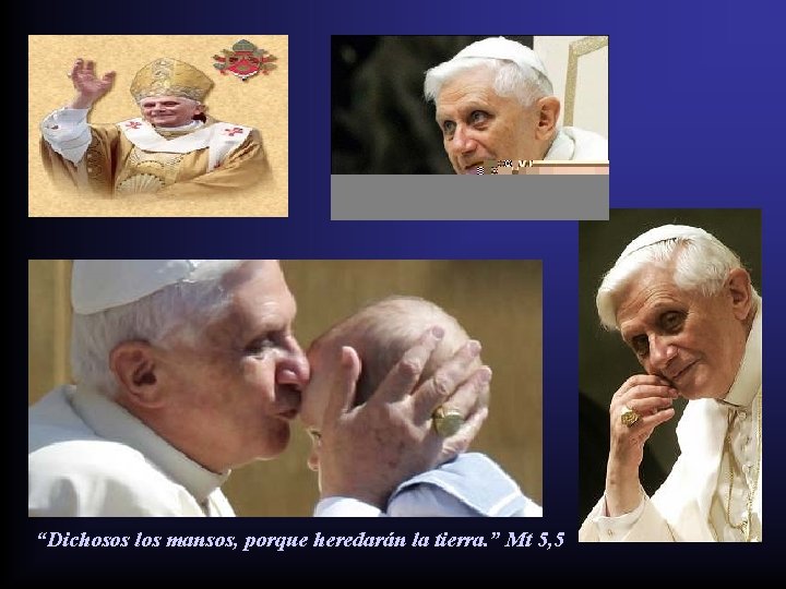 “Dichosos los mansos, porque heredarán la tierra. ” Mt 5, 5 