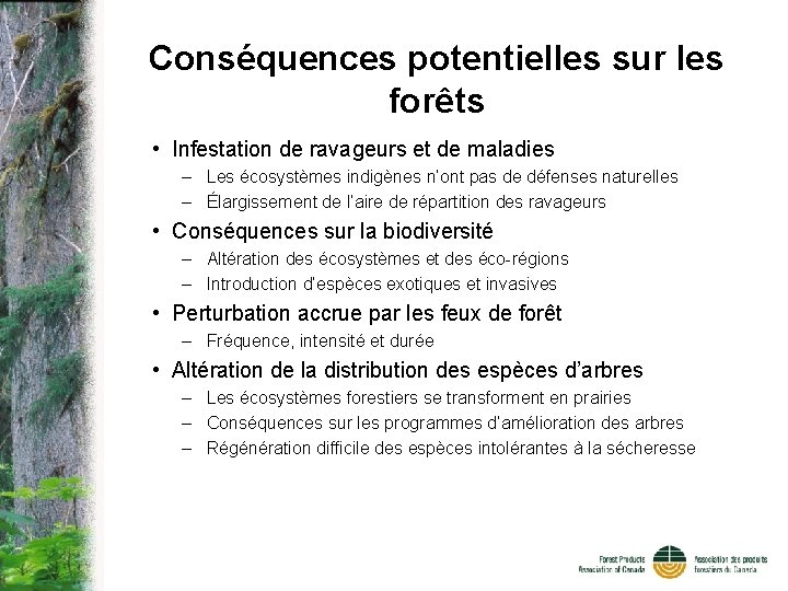 Conséquences potentielles sur les forêts • Infestation de ravageurs et de maladies – Les