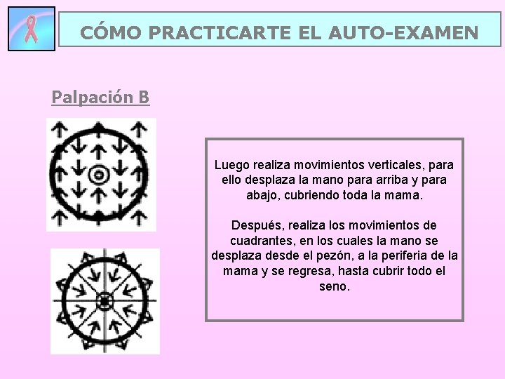 CÓMO PRACTICARTE EL AUTO-EXAMEN Palpación B Luego realiza movimientos verticales, para ello desplaza la