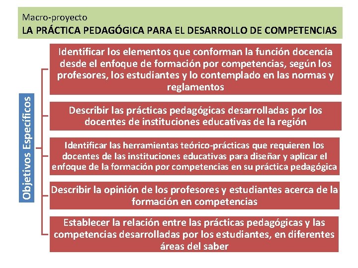 Macro-proyecto LA PRÁCTICA PEDAGÓGICA PARA EL DESARROLLO DE COMPETENCIAS Objetivos Específicos Identificar los elementos