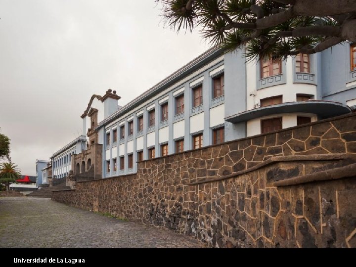 Universidad de La Laguna 