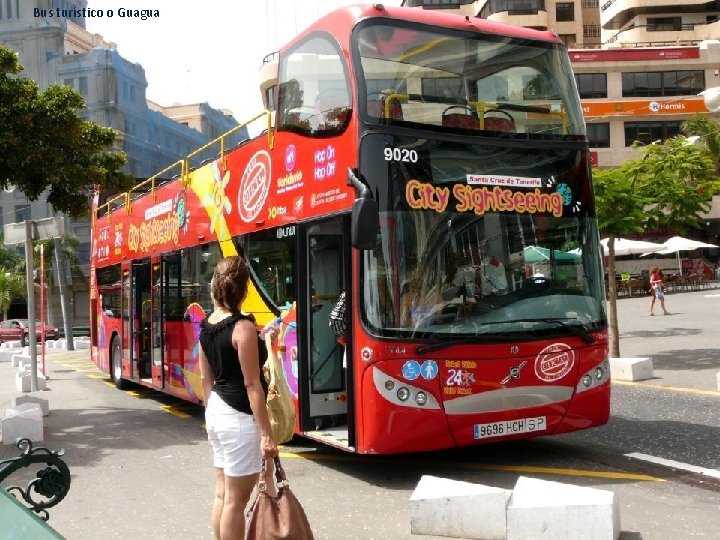 Bus turístico o Guagua 