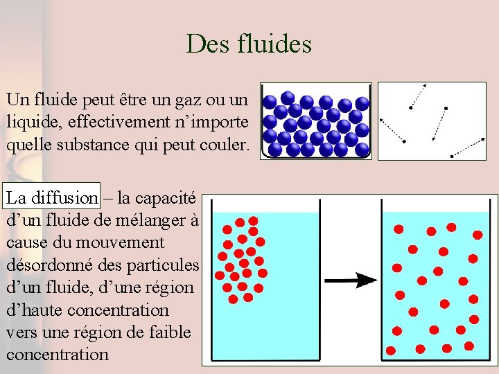 Des fluides Un fluide peut être un gaz ou un liquide, effectivement n’importe quelle