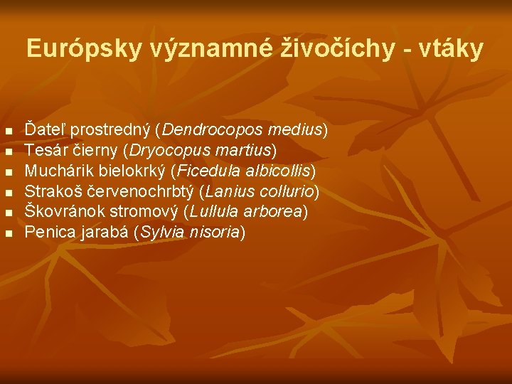 Európsky významné živočíchy - vtáky n n n Ďateľ prostredný (Dendrocopos medius) Tesár čierny