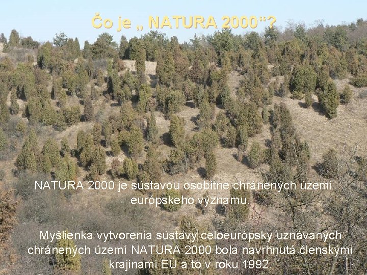 Čo je „ NATURA 2000“? NATURA 2000 je sústavou osobitne chránených území európskeho významu.