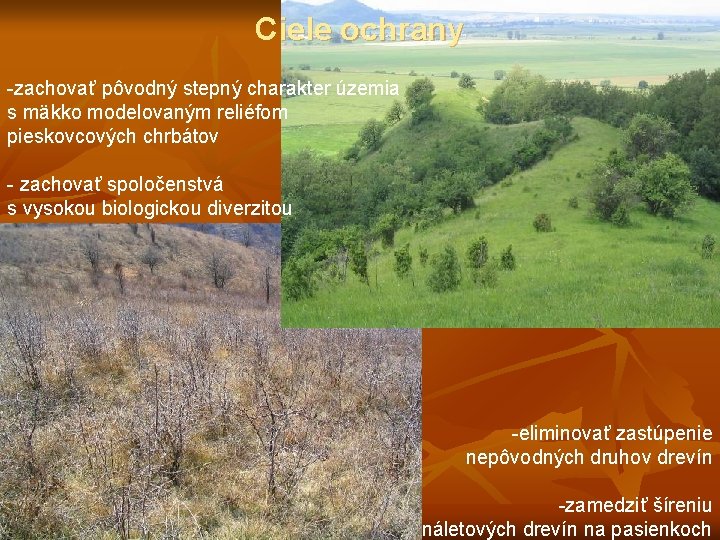 Ciele ochrany -zachovať pôvodný stepný charakter územia s mäkko modelovaným reliéfom pieskovcových chrbátov -