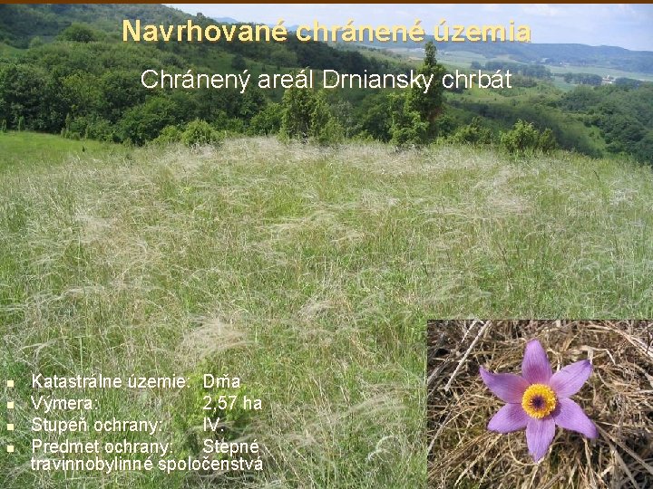 Navrhované chránené územia Chránený areál Drniansky chrbát n n Katastrálne územie: Drňa Výmera: 2,