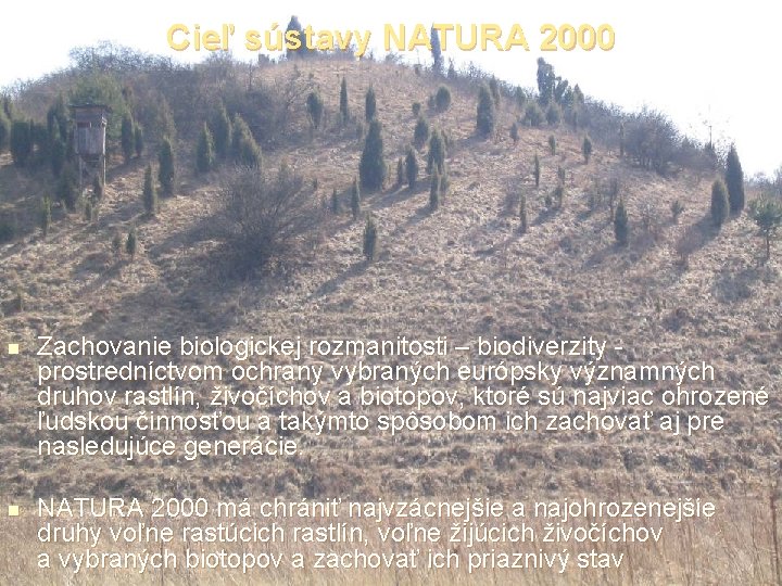 Cieľ sústavy NATURA 2000 n n Zachovanie biologickej rozmanitosti – biodiverzity prostredníctvom ochrany vybraných