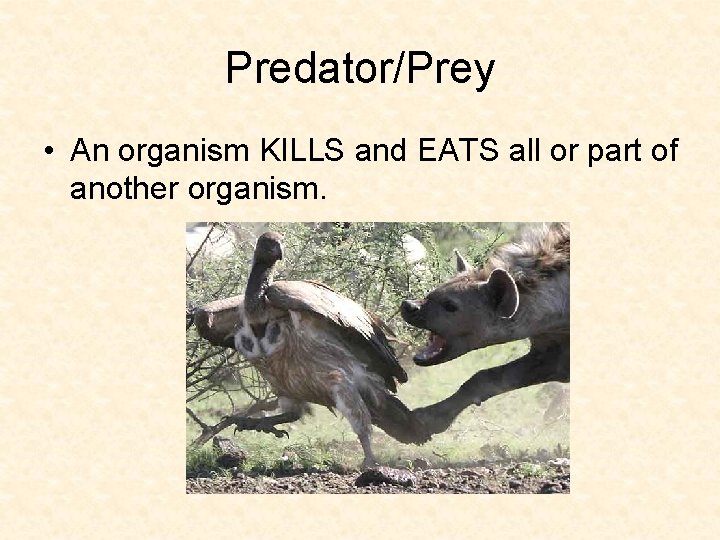 Predator/Prey • An organism KILLS and EATS all or part of another organism. 