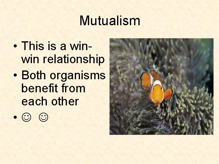 Mutualism • This is a winwin relationship • Both organisms benefit from each other