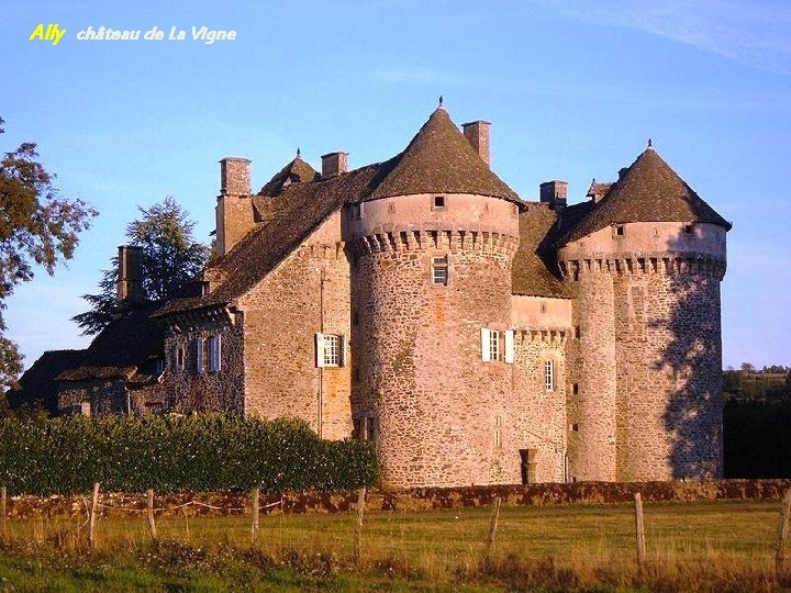 Ally château de La Vigne 