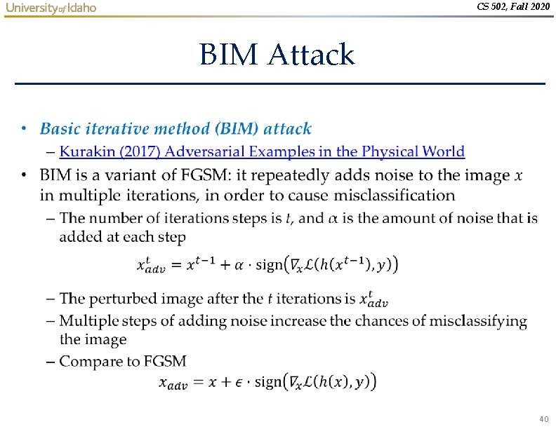 CS 502, Fall 2020 BIM Attack • 40 CS 502, Fall 2020 BIM Attack • 40