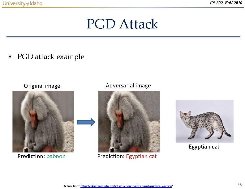 CS 502, Fall 2020 PGD Attack • PGD attack example Adversarial image Original image CS 502, Fall 2020 PGD Attack • PGD attack example Adversarial image Original image