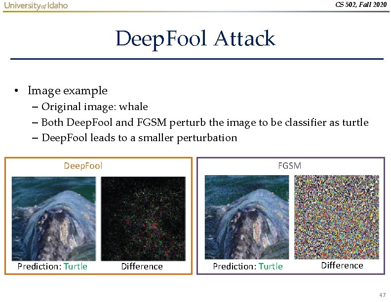 CS 502, Fall 2020 Deep. Fool Attack • Image example – Original image: whale CS 502, Fall 2020 Deep. Fool Attack • Image example – Original image: whale