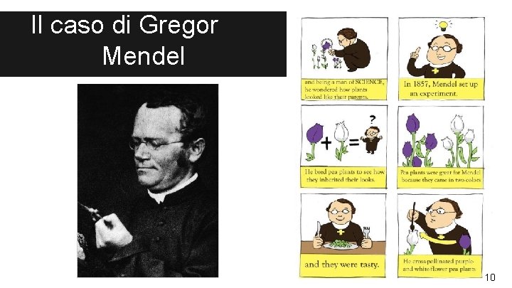 Il caso di Gregor Mendel 10 