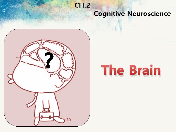 CH. 2 ? Cognitive Neuroscience The Brain 