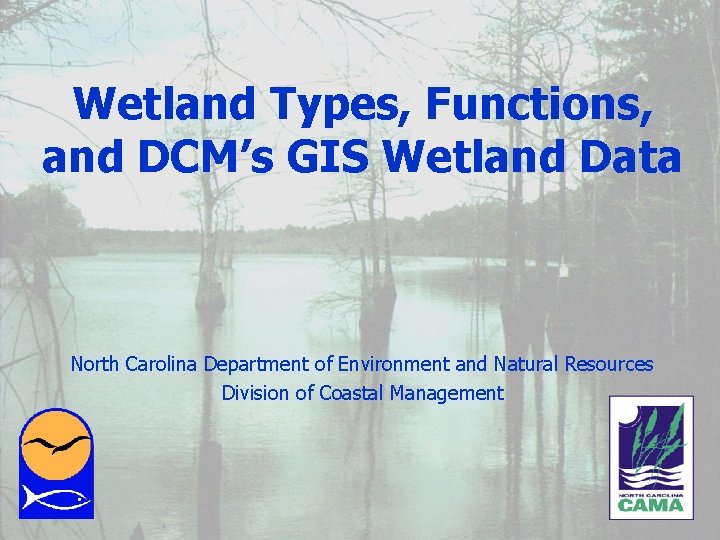 Wetland Types, Functions, and DCM’s GIS Wetland Data North Carolina Department of Environment and