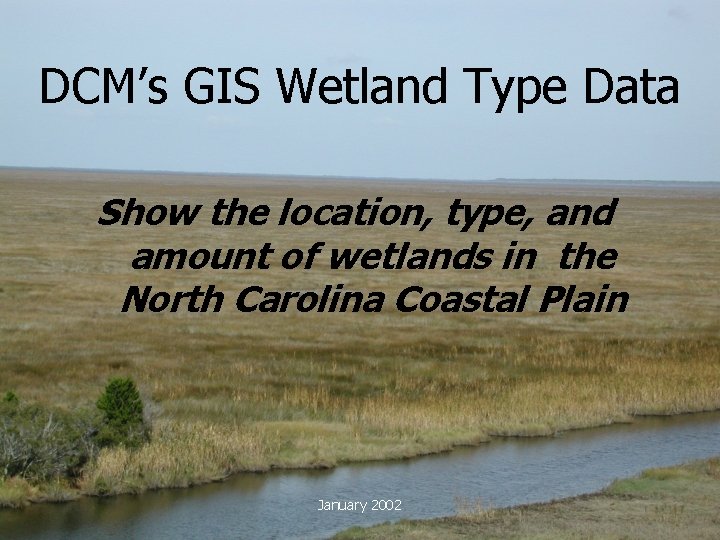 DCM’s GIS Wetland Type Data Show the location, type, and amount of wetlands in
