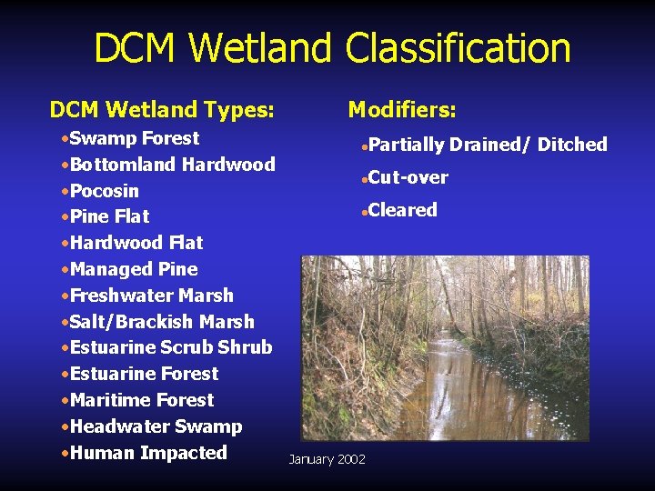 DCM Wetland Classification DCM Wetland Types: • Swamp Forest • Bottomland Hardwood • Pocosin