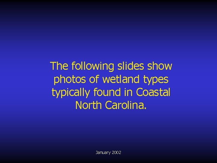 The following slides show photos of wetland types typically found in Coastal North Carolina.