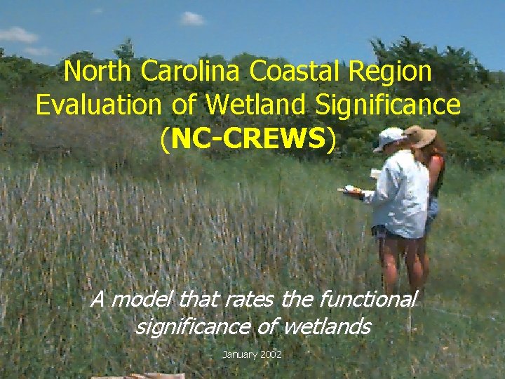North Carolina Coastal Region Evaluation of Wetland Significance (NC-CREWS) A model that rates the