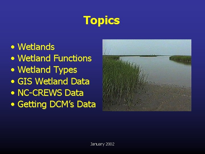 Topics • Wetland Functions • Wetland Types • GIS Wetland Data • NC-CREWS Data