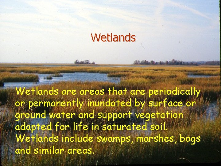 Wetlands are areas that are periodically or permanently inundated by surface or ground water