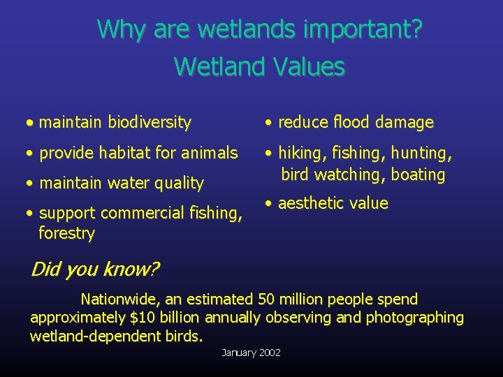 Why are wetlands important? Wetland Values • maintain biodiversity • reduce flood damage •