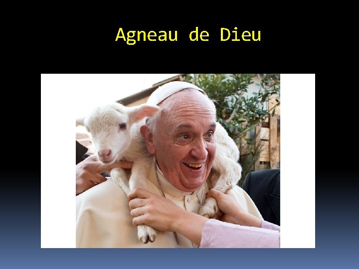 Agneau de Dieu 