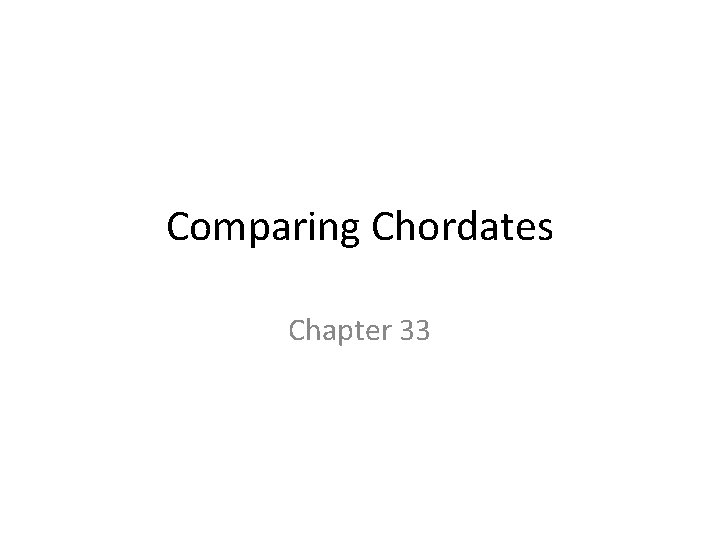 Comparing Chordates Chapter 33 