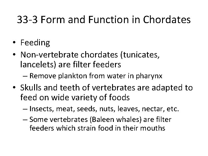 33 -3 Form and Function in Chordates • Feeding • Non-vertebrate chordates (tunicates, lancelets)