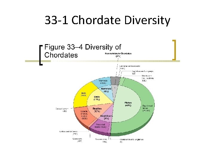 33 -1 Chordate Diversity 