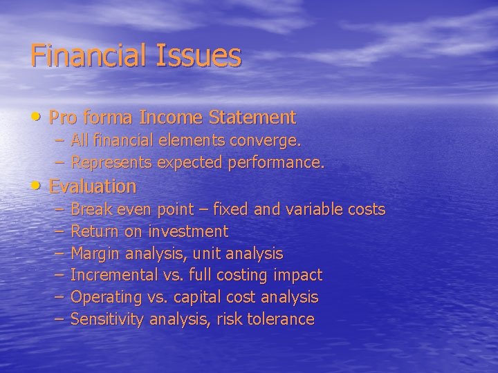 Financial Issues • Pro forma Income Statement – All financial elements converge. – Represents